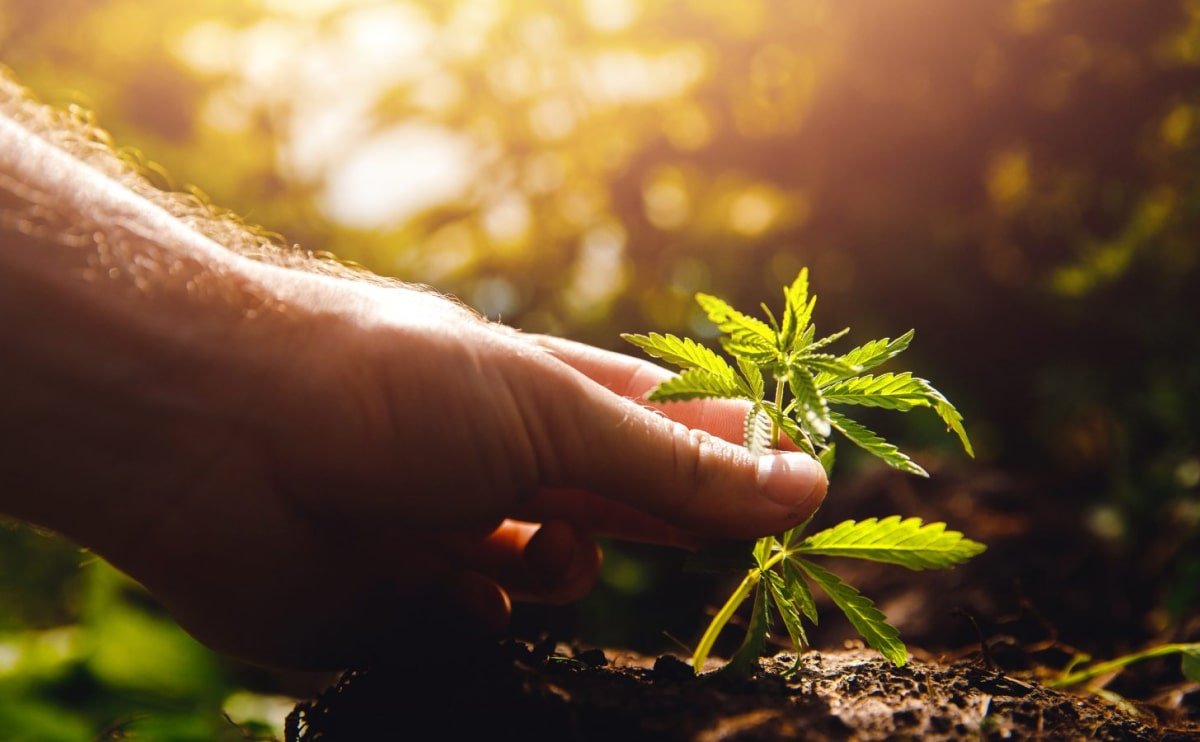 Minimalist Japanese-inspired furniture