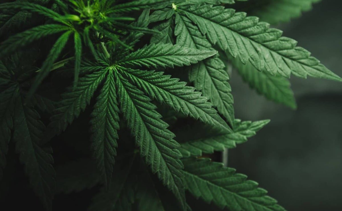 New home decor from John Doerson