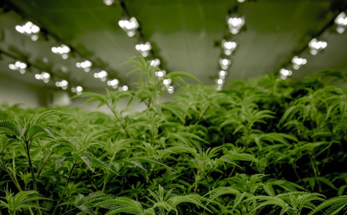 Creative water features and exterior