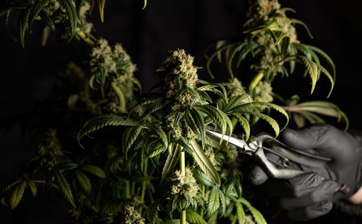 Exploring Atlanta’s modern homes